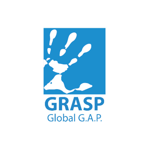 GRASP